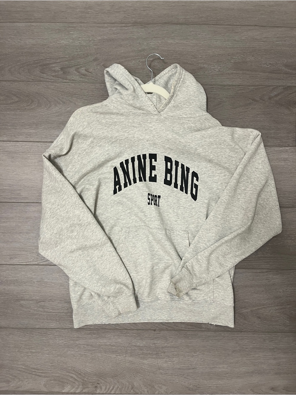 Anine Bing Hoodie